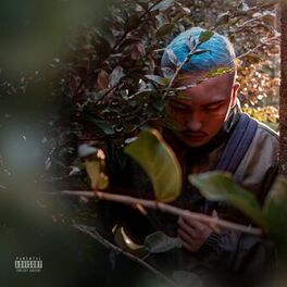 Album cover of XXI Primaveras