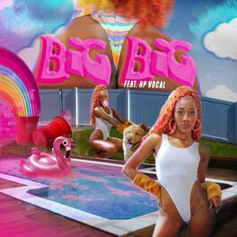 Album cover of Big Big