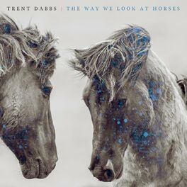 Album cover of The Way We Look at Horses