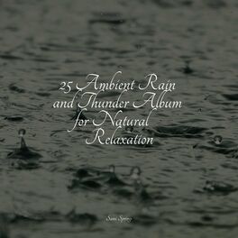 Album cover of 25 Ambient Rain and Thunder Album for Natural Relaxation