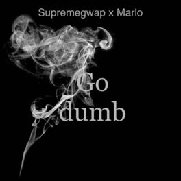 Album cover of Go Dumb