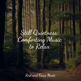 Album cover of Still Quietness: Comforting Music to Relax