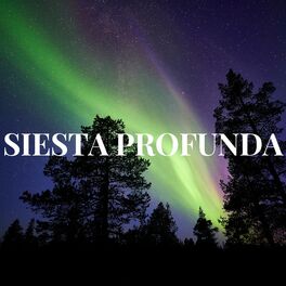 Album cover of SIESTA PROFUNDA