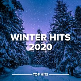 Album cover of Winter Hits 2020