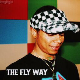 Album cover of THE FLY WAY