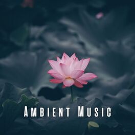 Album cover of Ambient Music: Healing Meditation Vibes