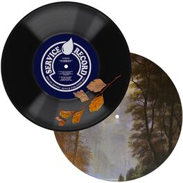 Album cover of Forest