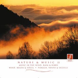 Album cover of Nature & Music II (Relaxation Music With Sounds of Nature: Wind, Rain, Birds...)