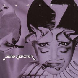 Album cover of Samurai