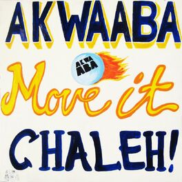 Album picture of Move It Chaleh!