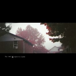 Album cover of fog lake / euphoria again