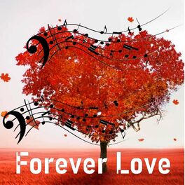 Album cover of Forever love