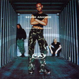 Album cover of Paranoid & Sunburnt