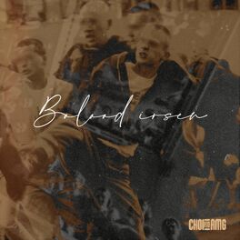 Album cover of Bolood irsen (feat. AMG)