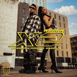 Album cover of X2 (Remix)