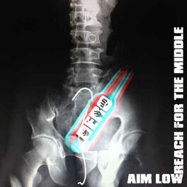 Album cover of Aim Low, Reach for the Middle