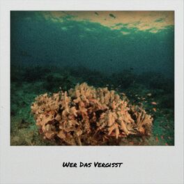 Album cover of Wer Das Vergisst
