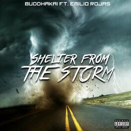 Album cover of Shelter from the Storm (feat. Emilio Rojas)