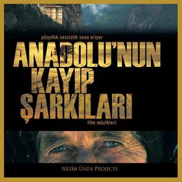 Album cover of Anadolu'nun Kayıp Şarkıları