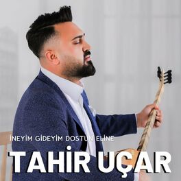 Album cover of İneyim Gideyim Dostun Eline