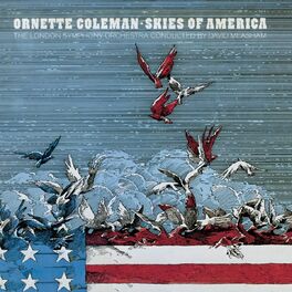 Album cover of Skies Of America