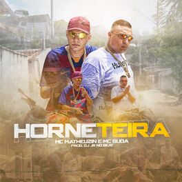 Album picture of Horneteira