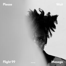 Album cover of Flight 99
