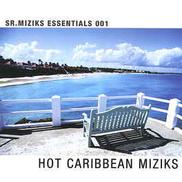 Album picture of Hot Caribbean Miziks