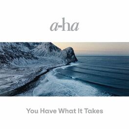 Album cover of You Have What It Takes