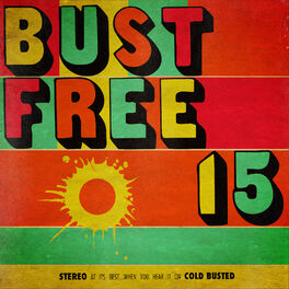 Album cover of Bust Free 15