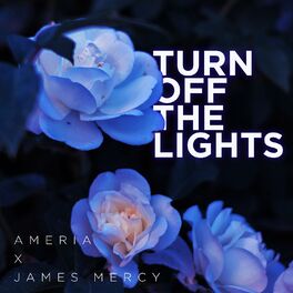 Album cover of Turn Off The Lights