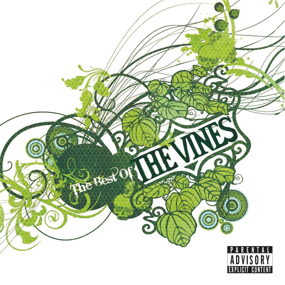 The vines. Обложка Vine Music. Alibro Vines. Vine перевод. Don't listen to the Radio the Vines.