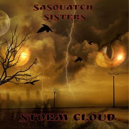 Album cover of Storm Cloud (feat. ink . D, Sarah unique, Def steph, Robyn & Random. G)