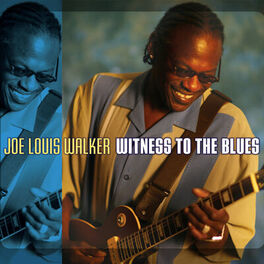 Album cover of Witness To The Blues