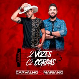 Album cover of 2 Vozes 12 Cordas