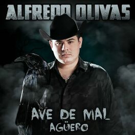 Album cover of Ave De Mal Agüero