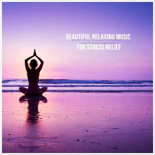 Lin Fu Chan - Beautiful Relaxing Music for Stress Relief (2021) обложка альбома