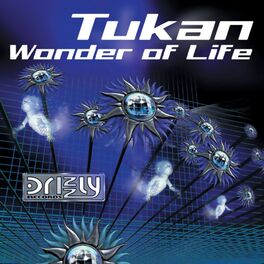 Album cover of Wonder of Life