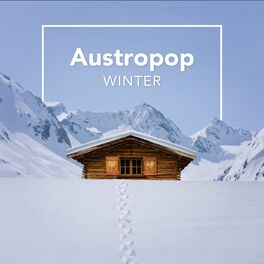 Album cover of Austropop Winter