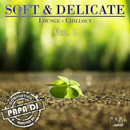 Album cover of Soft & Delicate Lounge-Chillout, Vol. 1 (Selected by Papa DJ)