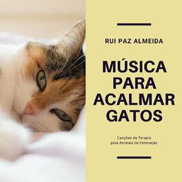 Album cover of Música para Acalmar Gatos: Canções de Terapia para Animais de Estimação