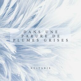 Album cover of Dans une parure de plumes grises