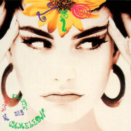 Album cover of Des fleurs pour un caméléon