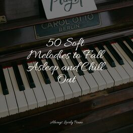 Album cover of 50 Soft Melodies to Fall Asleep and Chill Out