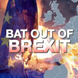 Album cover of Bat Out Of Brexit