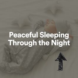 Album cover of Peaceful Sleeping Through the Night