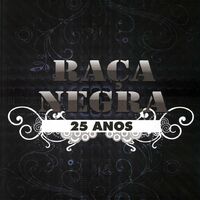 Raça Negra: música, letras, canciones, discos