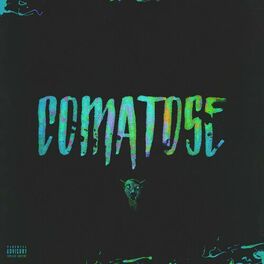Album cover of Comatose