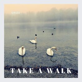 Album cover of Take A Walk