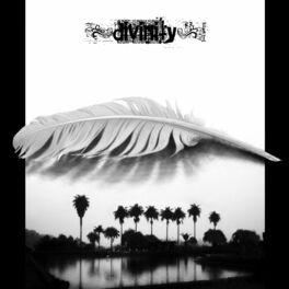 Album cover of Divinity